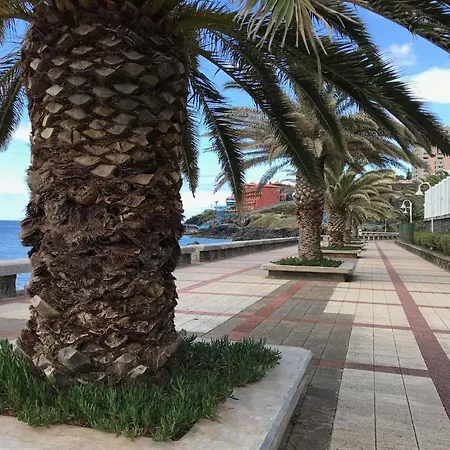 Fuer 8 Personen Ca 120 M In Canico, Madeira Suedkueste Von Madeira Levadas